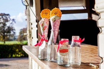 Corporate Branding Ice cream 1